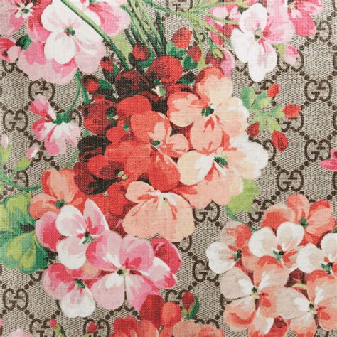 gucci 2017 print|gucci print material.